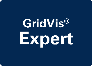 images/download/thumbnails/201590068/GridVis_Icons_Expert-version-1-modificationdate-1681298241000-api-v2.png